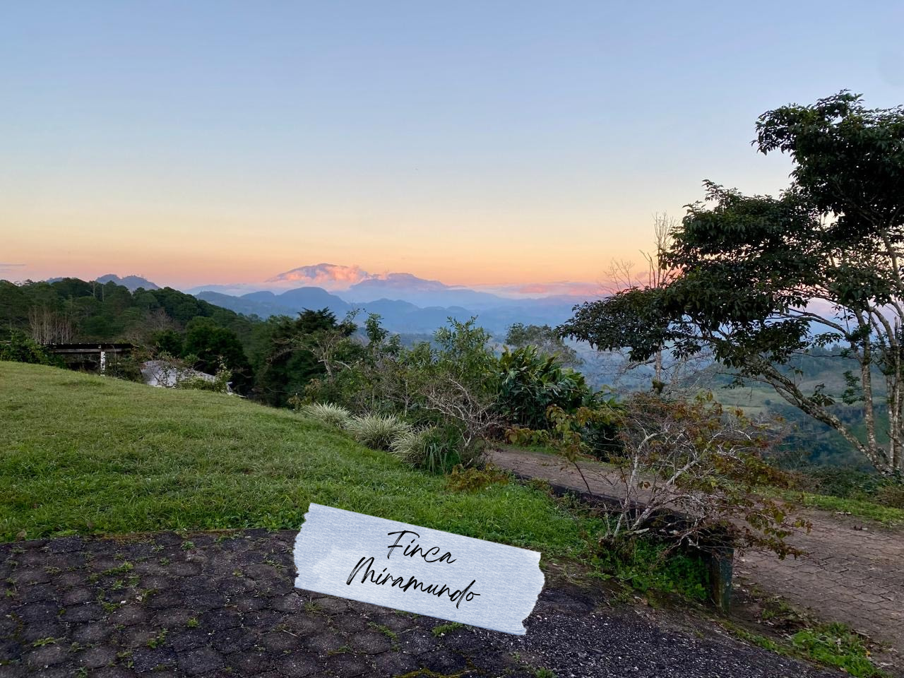 Miramundo Coffee - 12 oz