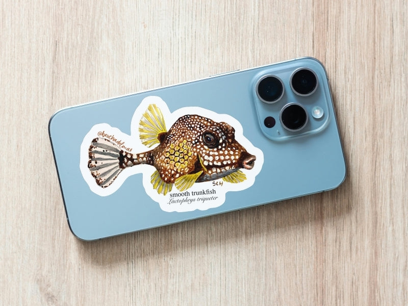 Smooth Trunkfish Sticker
