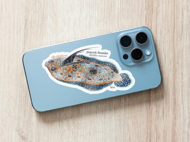 Peacock Flounder Sticker