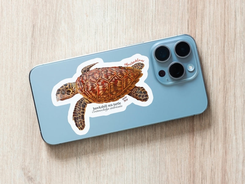 Hawksbill Sea Turtle