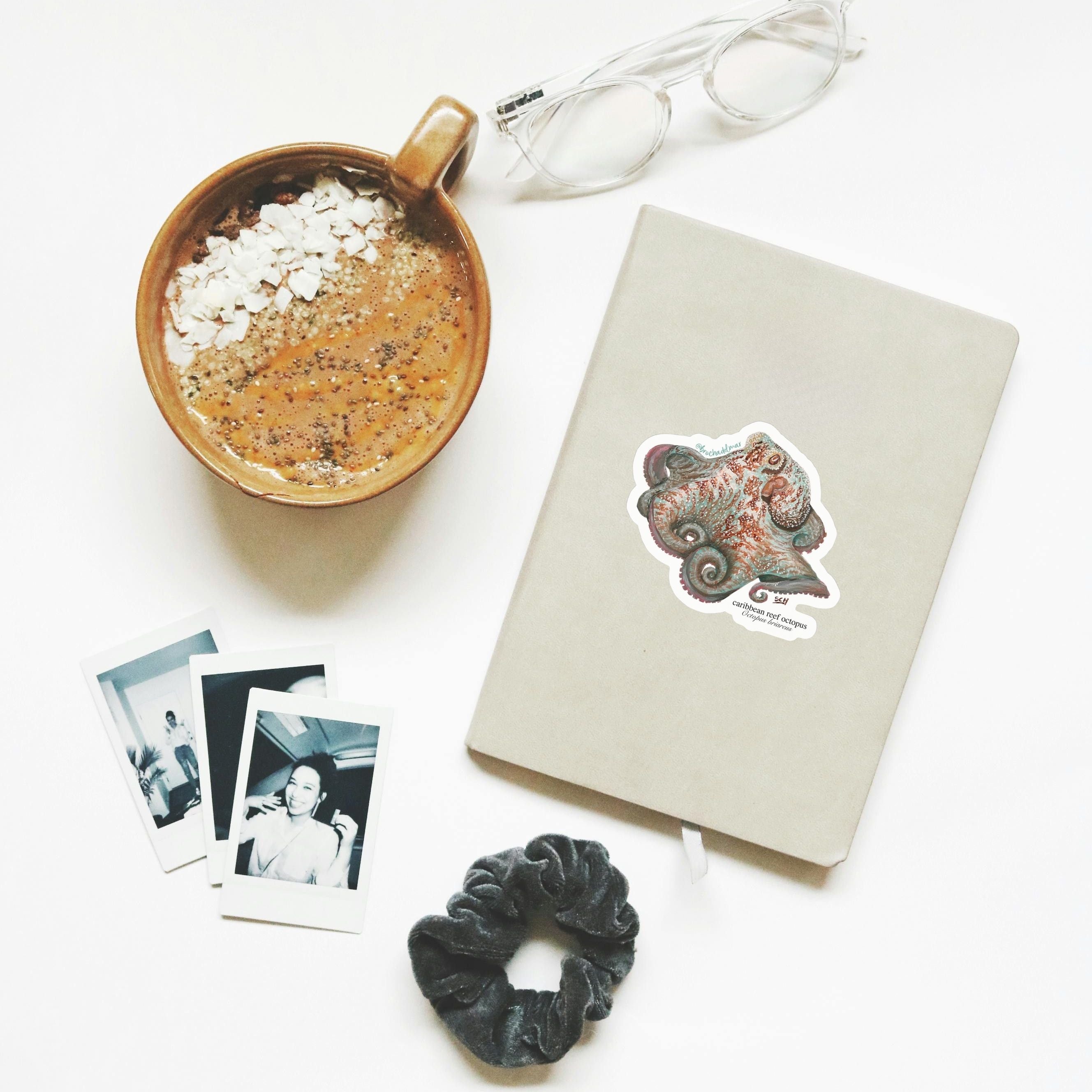Caribbean Reef Octopus Sticker