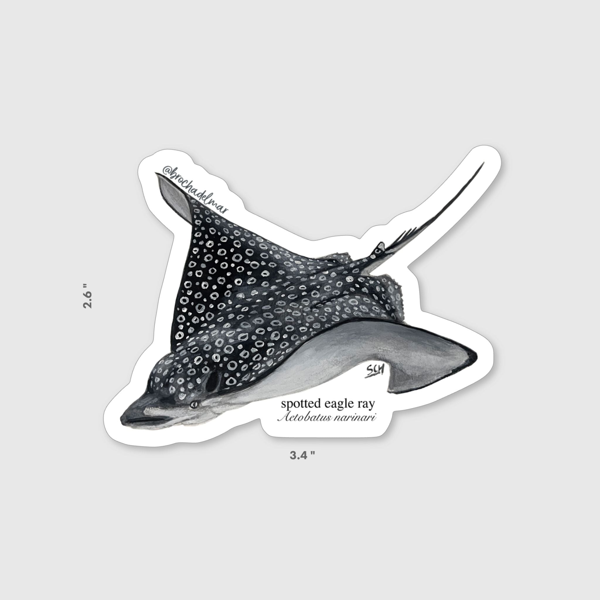 Spotted Eagle Ray Sticker
