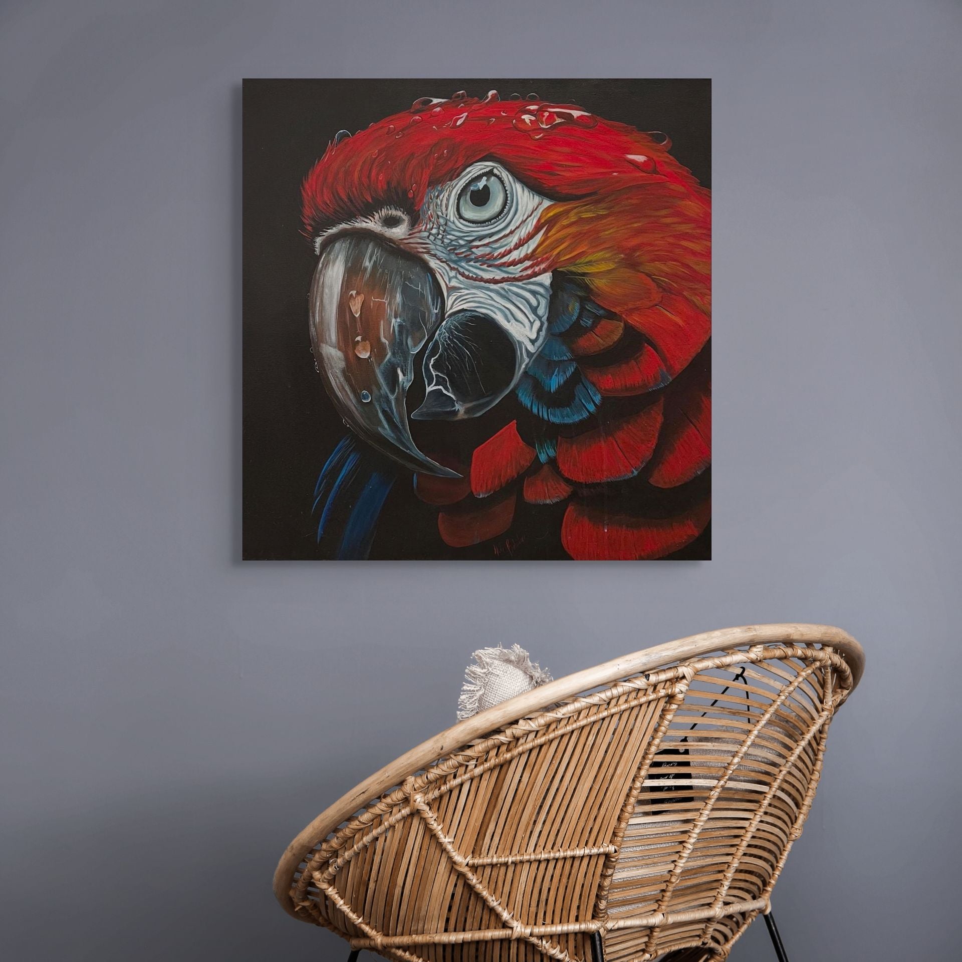 Macaw