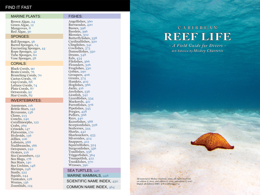 Caribbean Reef Life: A Field Guide for Divers