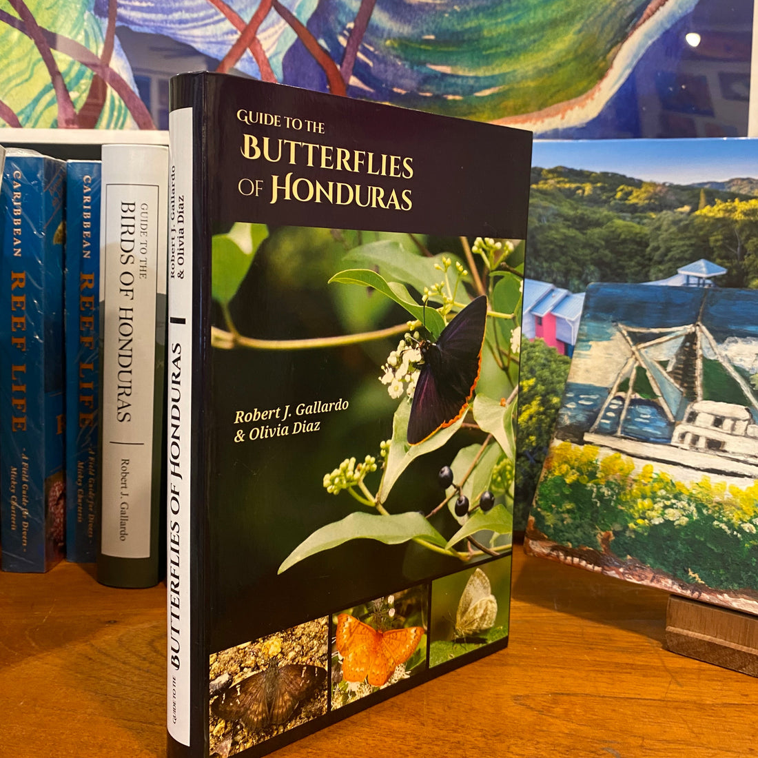 Guide to the Butterflies of Honduras