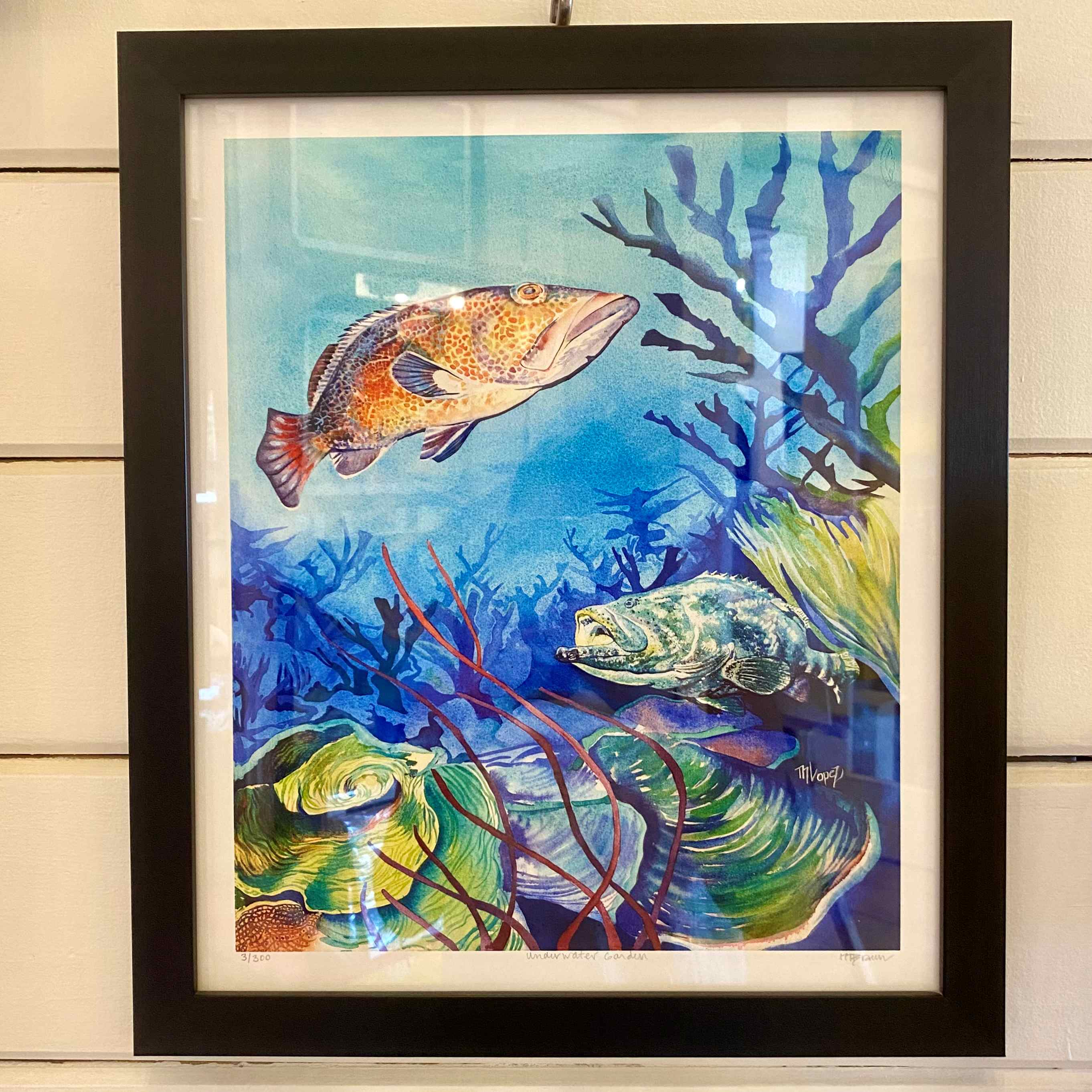Coral Garden