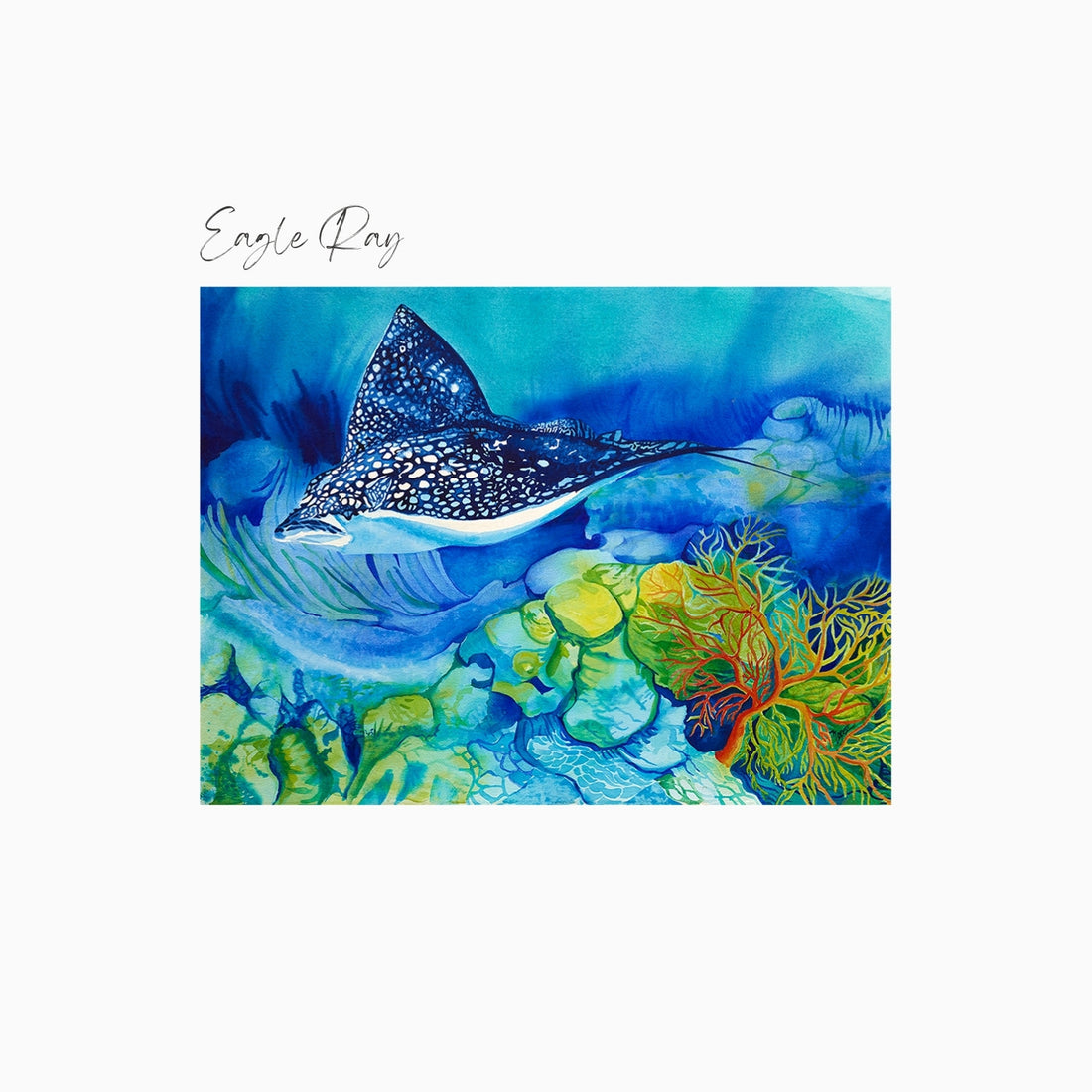 Eagle Ray Art Print