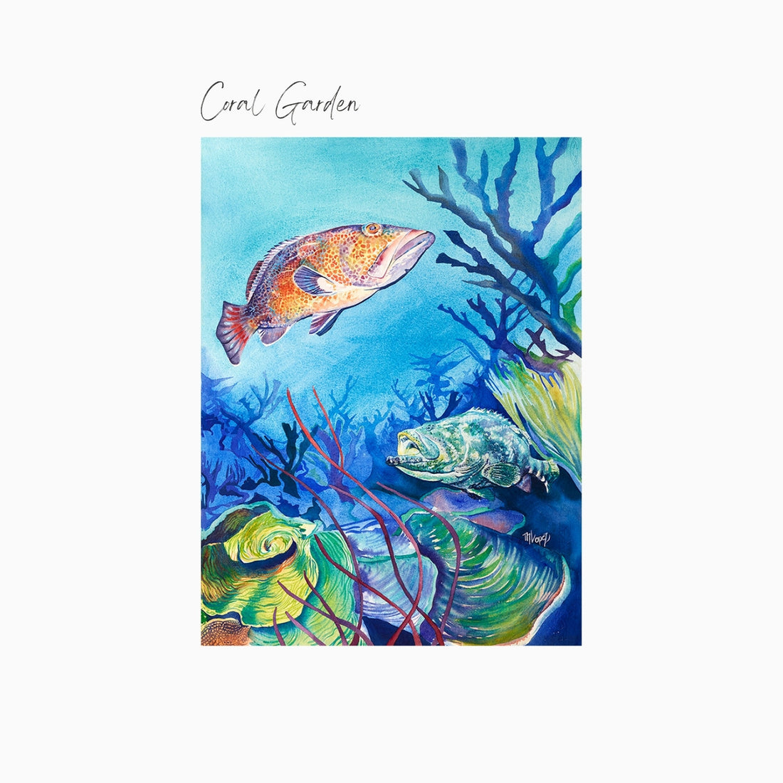 Coral Garden