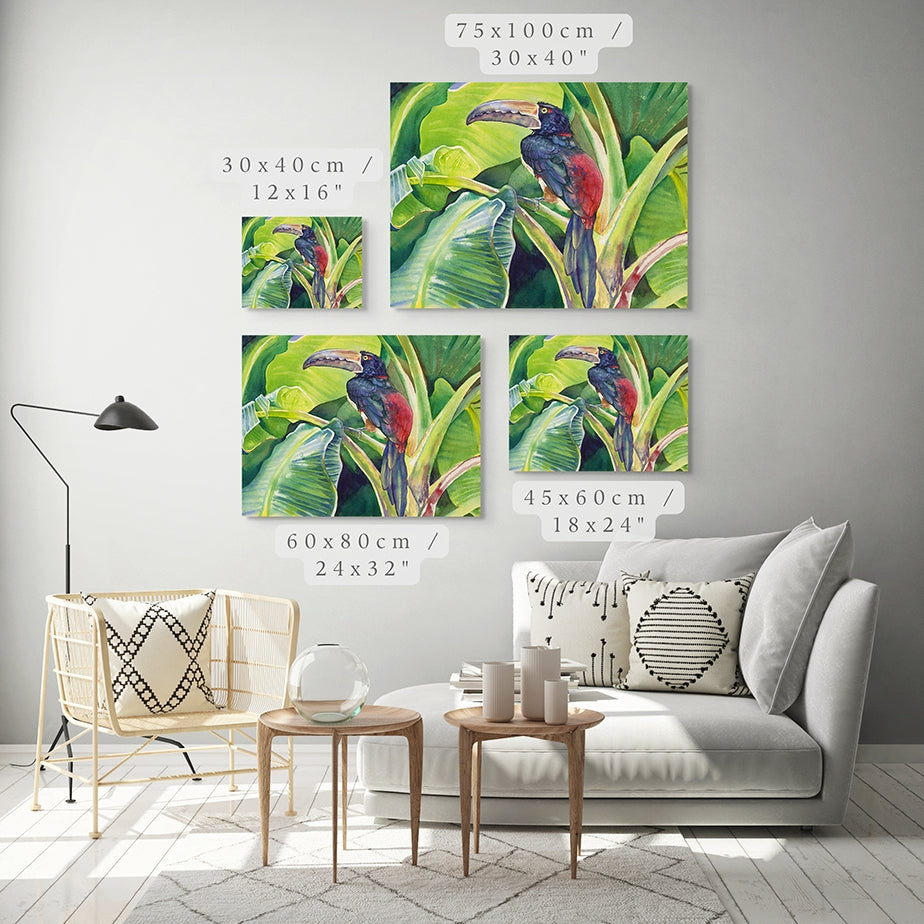 Toucan Art Print
