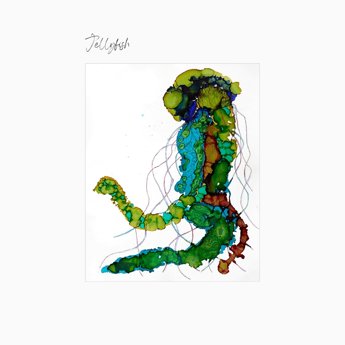 Jellyfish Art Print