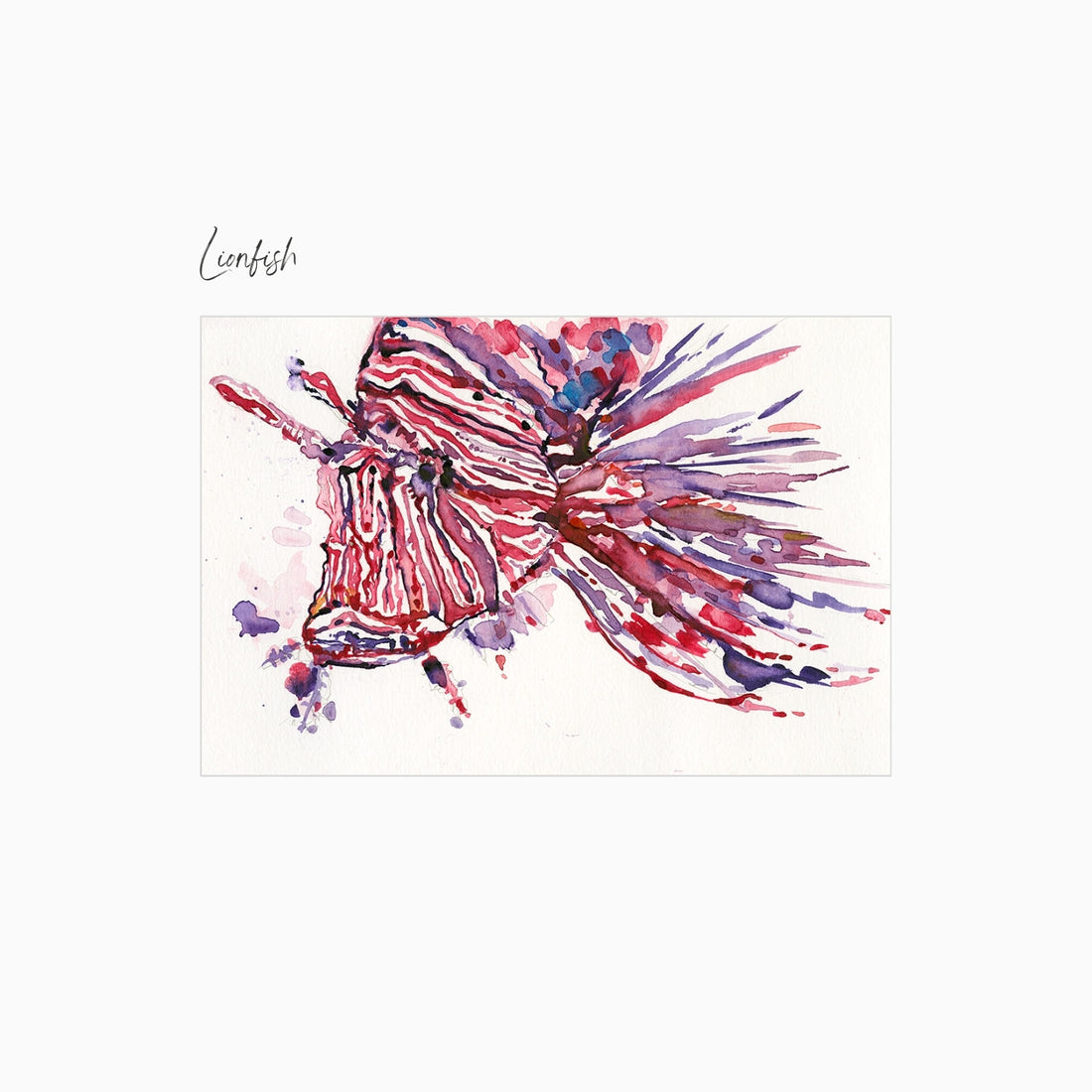 Lionfish Art Print