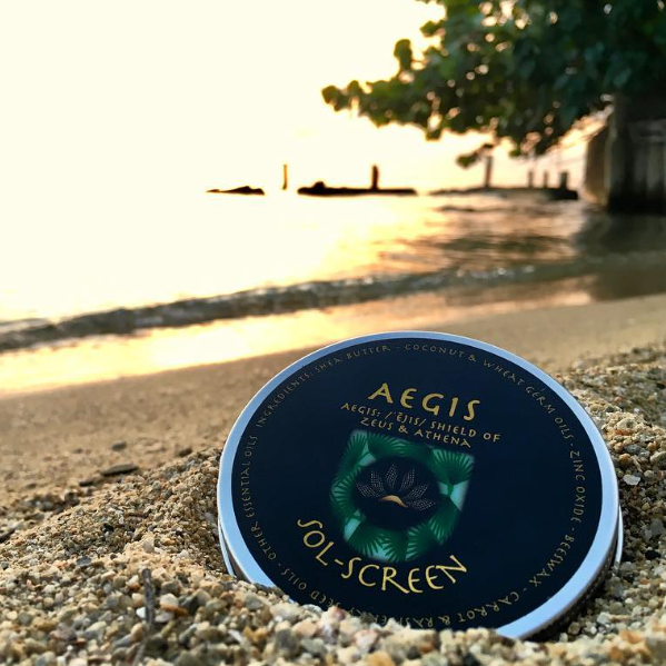 Aegis Sol-Screen container on a beach with sunset in the background