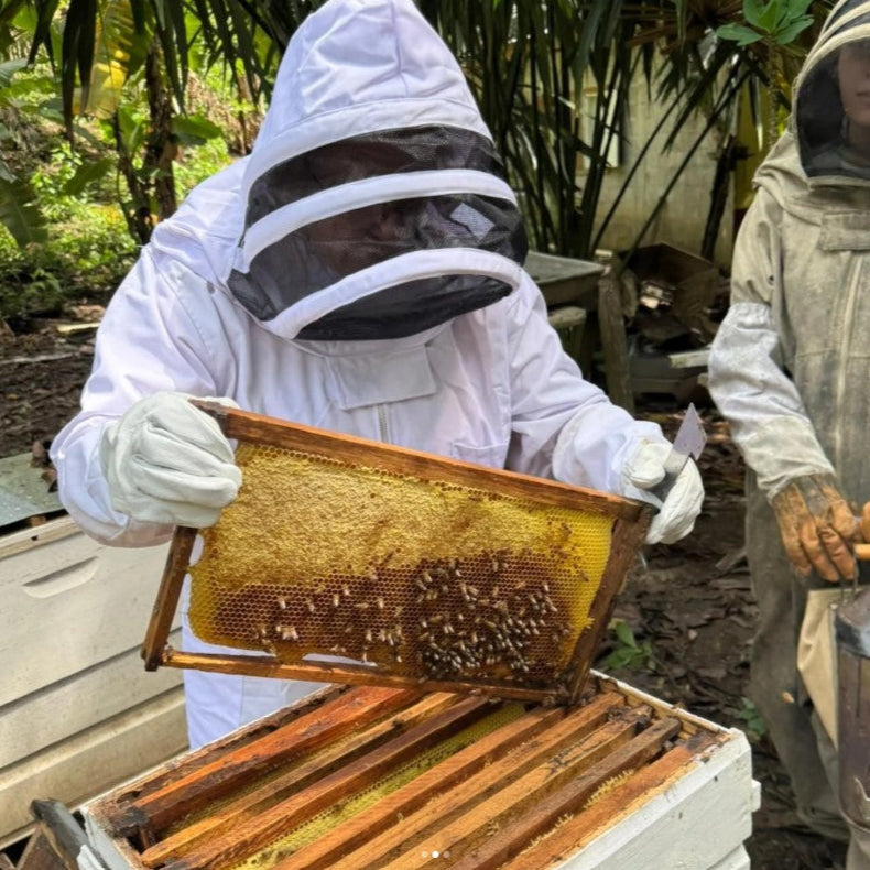 Island Honey - 8 oz
