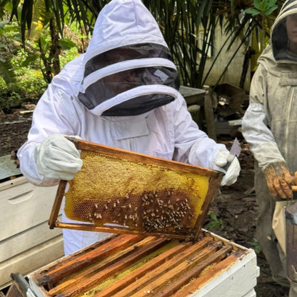 Island Honey - 8 oz