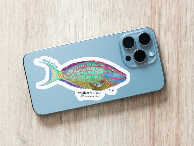Stoplight Parrot Fish Sticker
