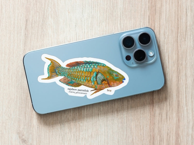 Rainbow Parrotfish Sticker