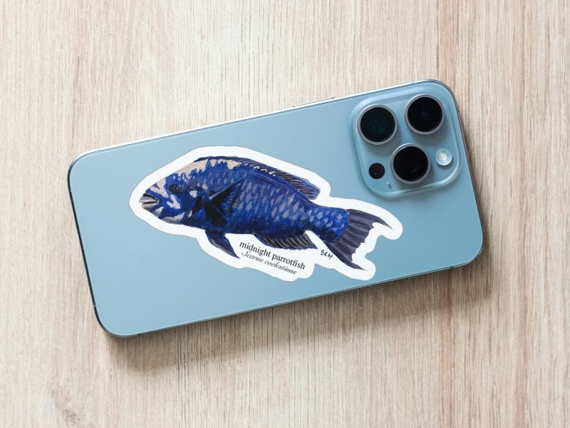 Midnight Parrotfish Sticker