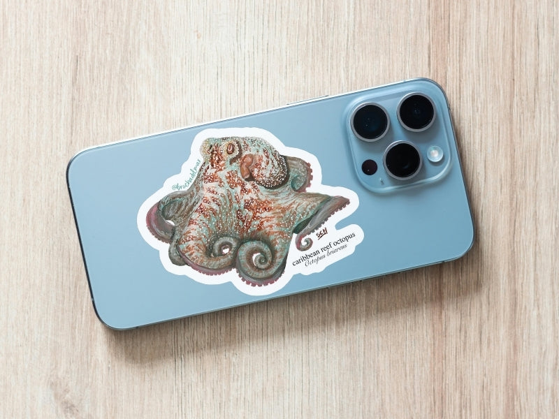 Caribbean Reef Octopus Sticker