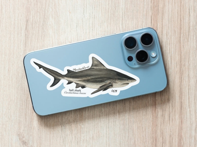 Bull Sharks Sticker Bull Shark Sticker – Waves of Art