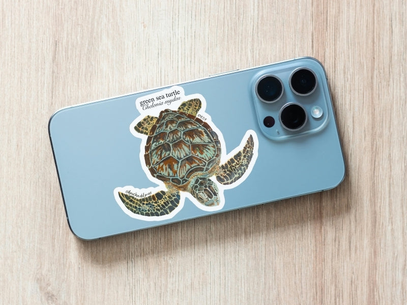 Green Sea Turtle Sticker