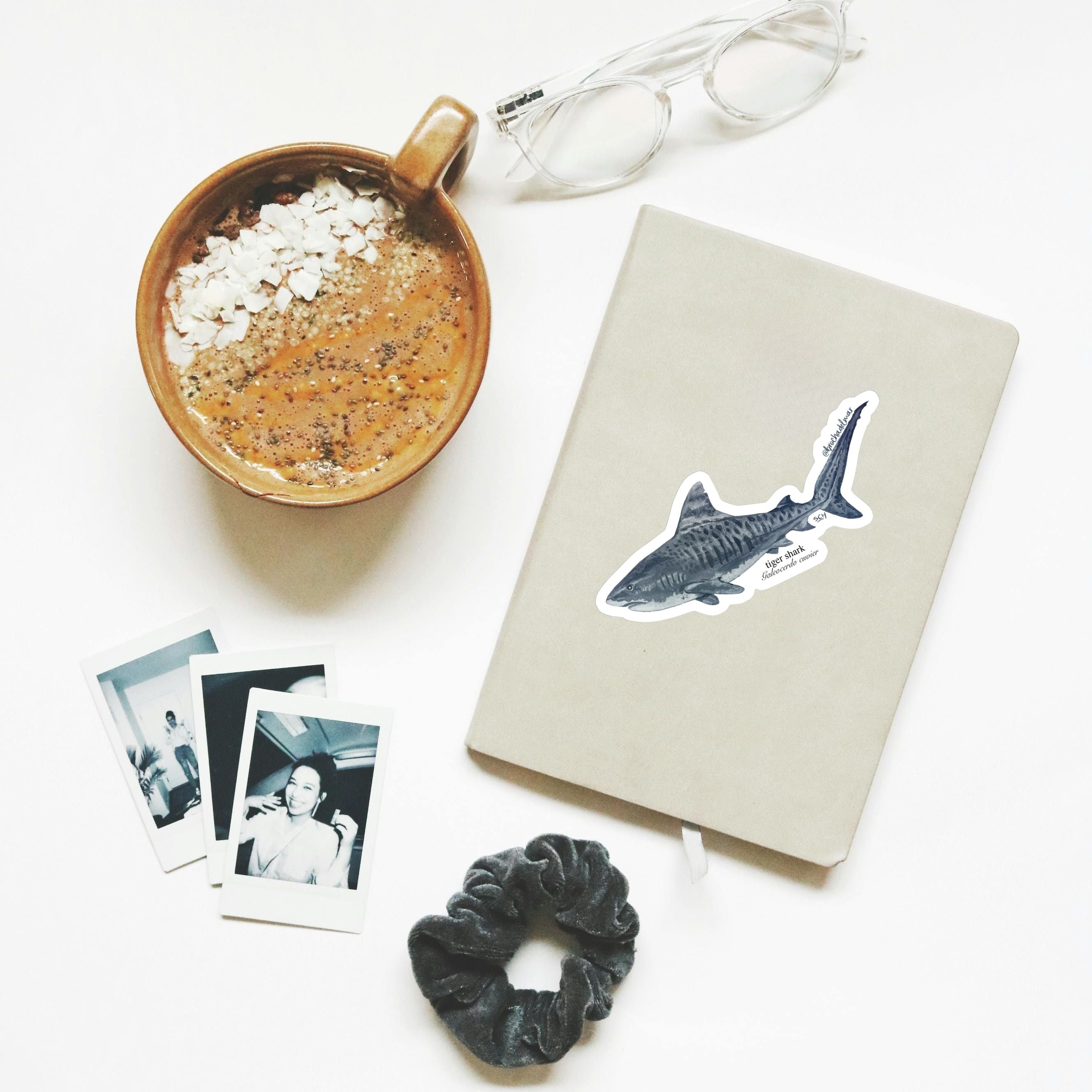 Tiger Shark Sticker