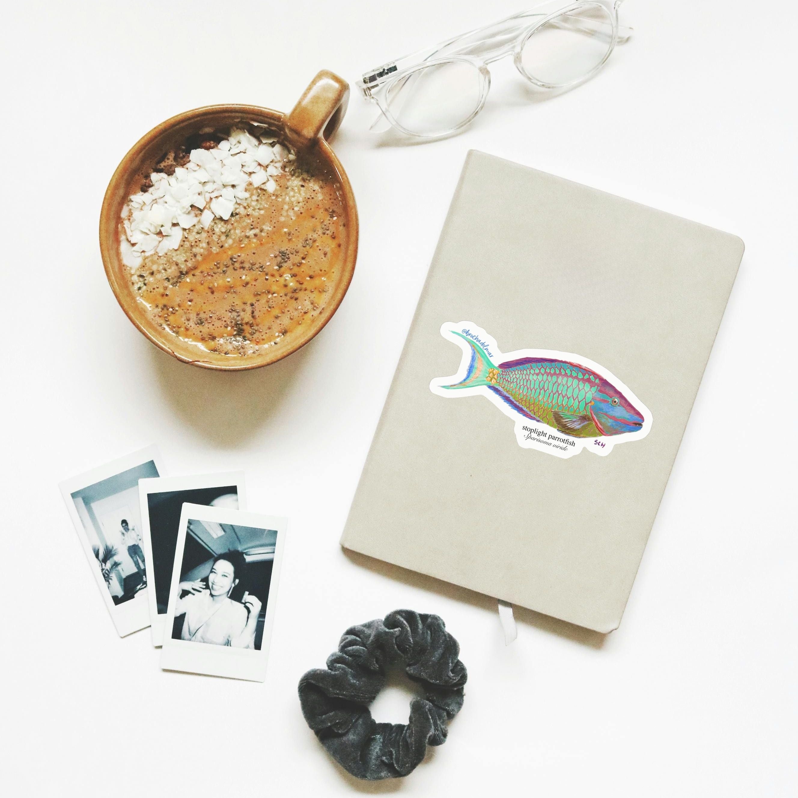 Stoplight Parrot Fish Sticker
