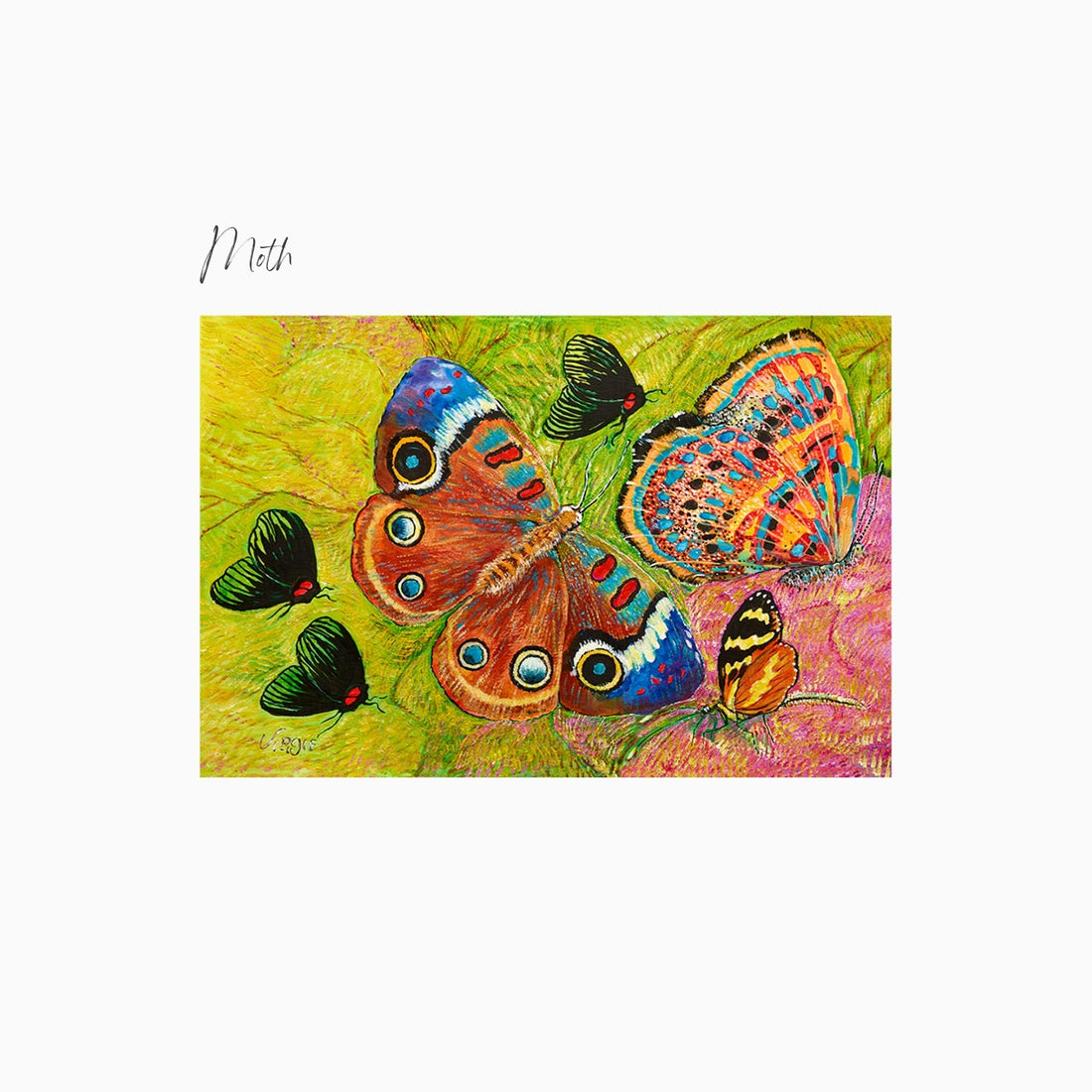 Moth Art Print