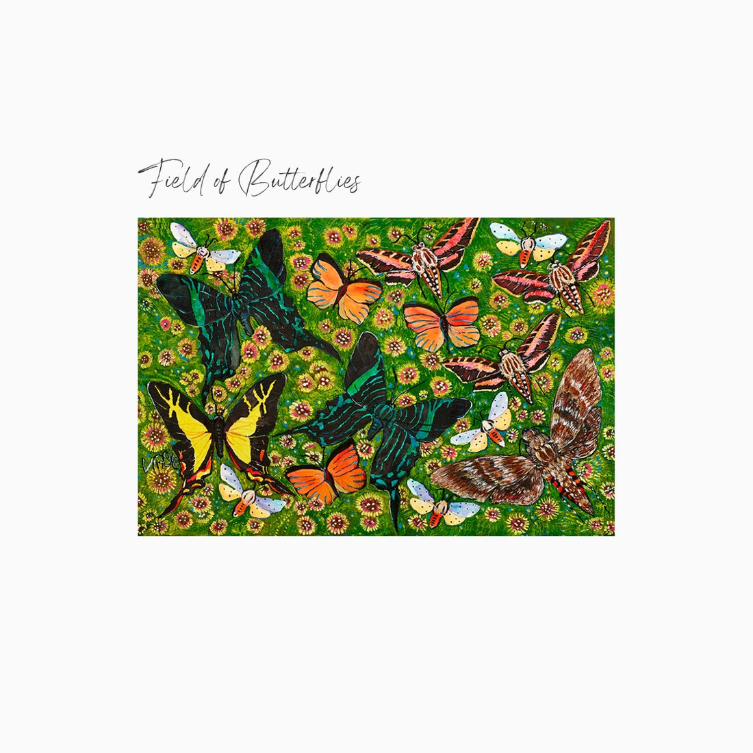 Field of Butterflies Art Print
