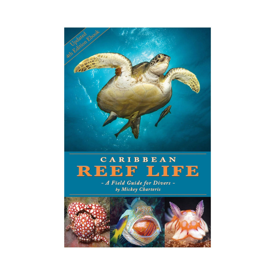 Caribbean Reef Life: A Field Guide for Divers
