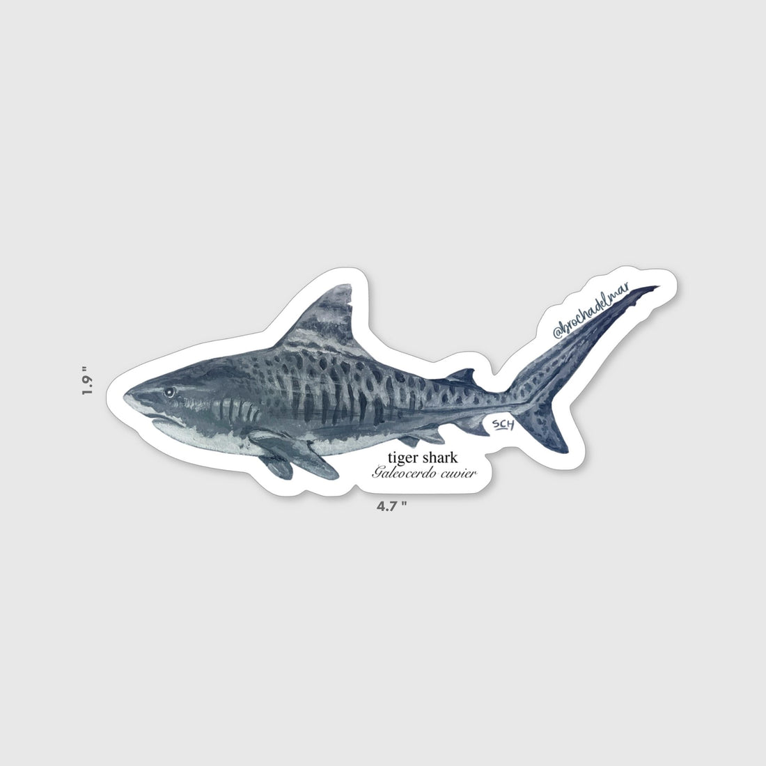 Tiger Shark Sticker