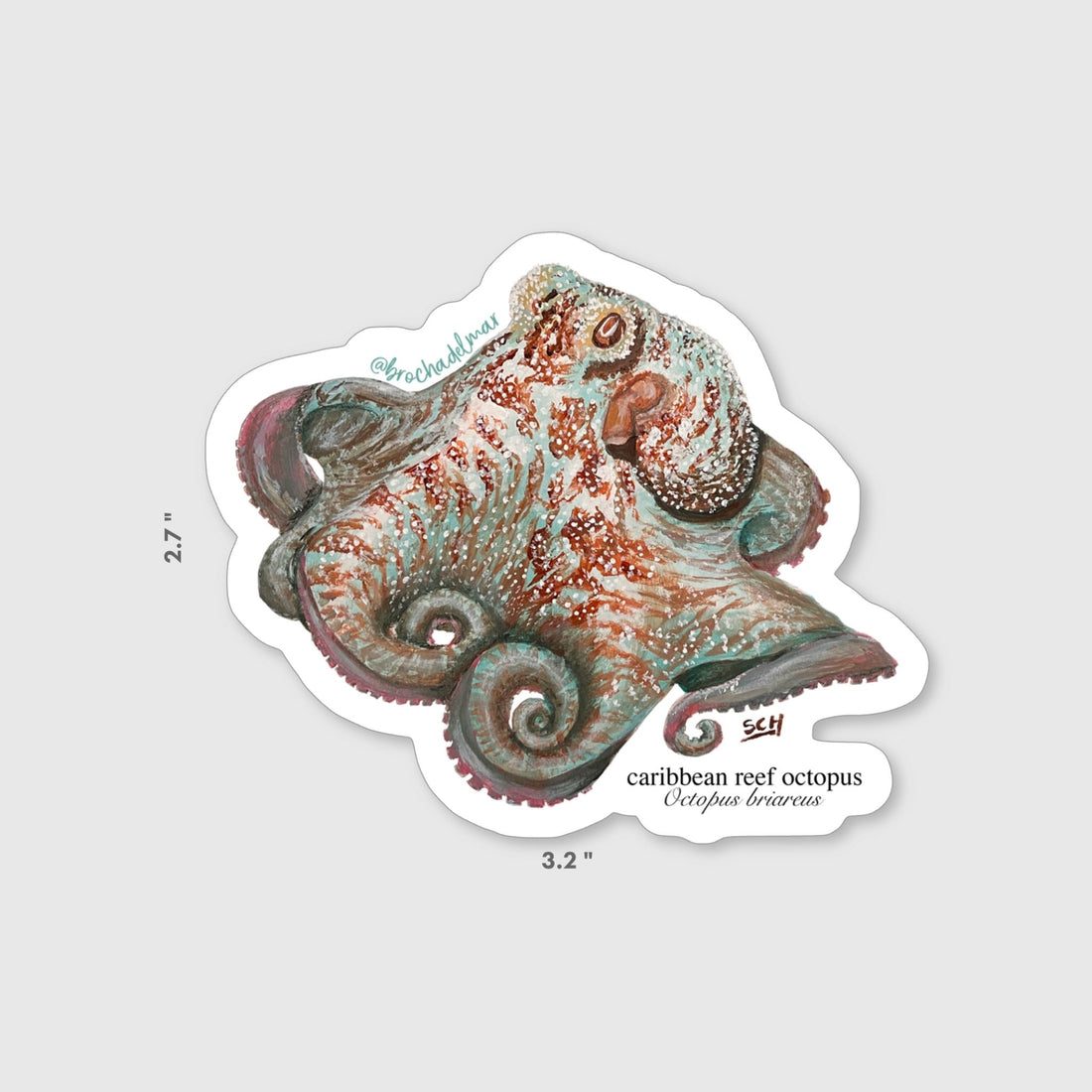 Caribbean Reef Octopus Sticker
