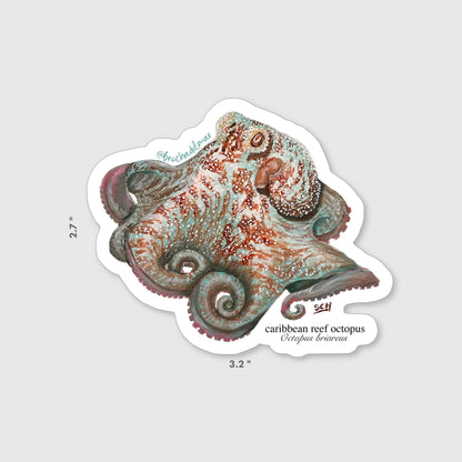 Caribbean Reef Octopus Sticker