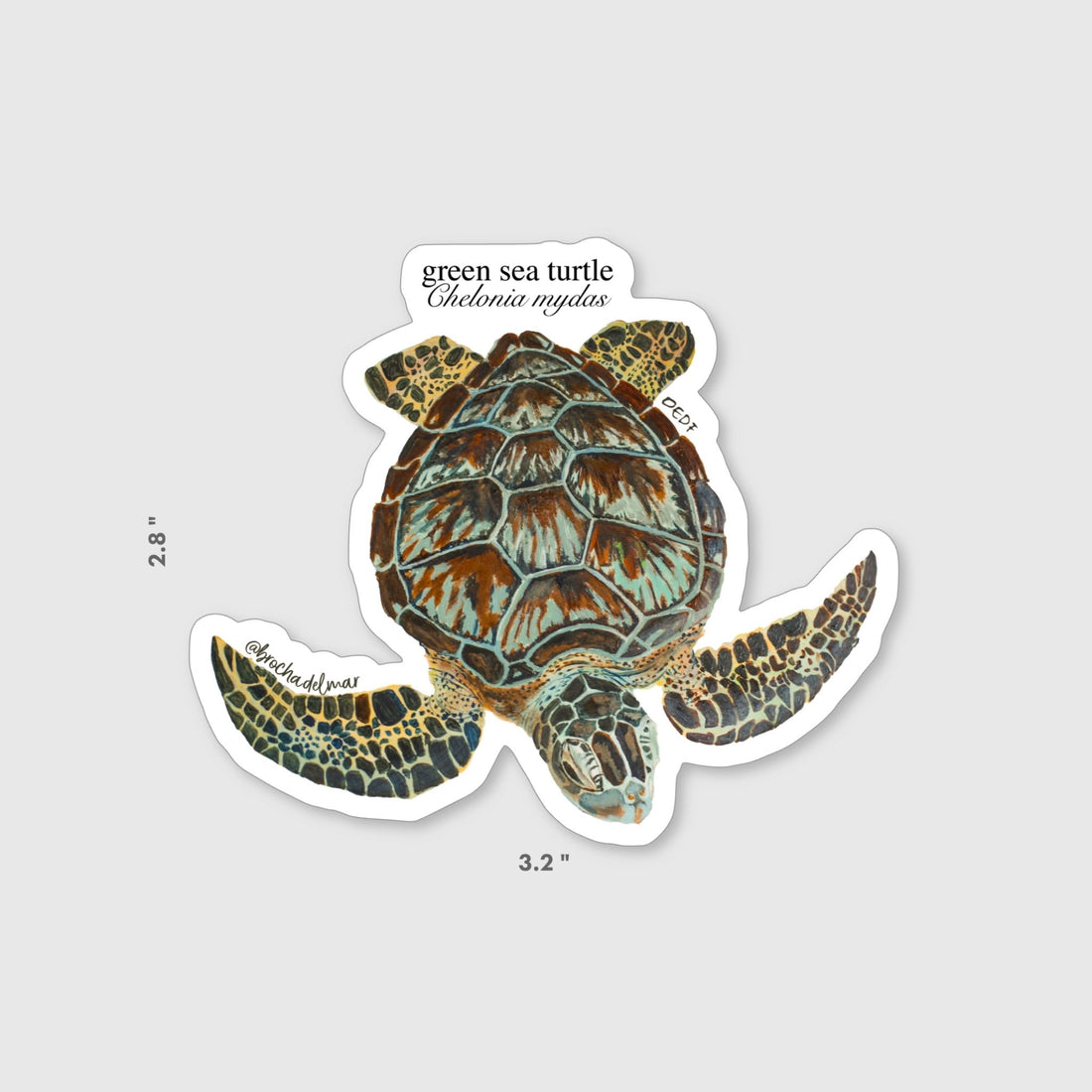 Green Sea Turtle Sticker