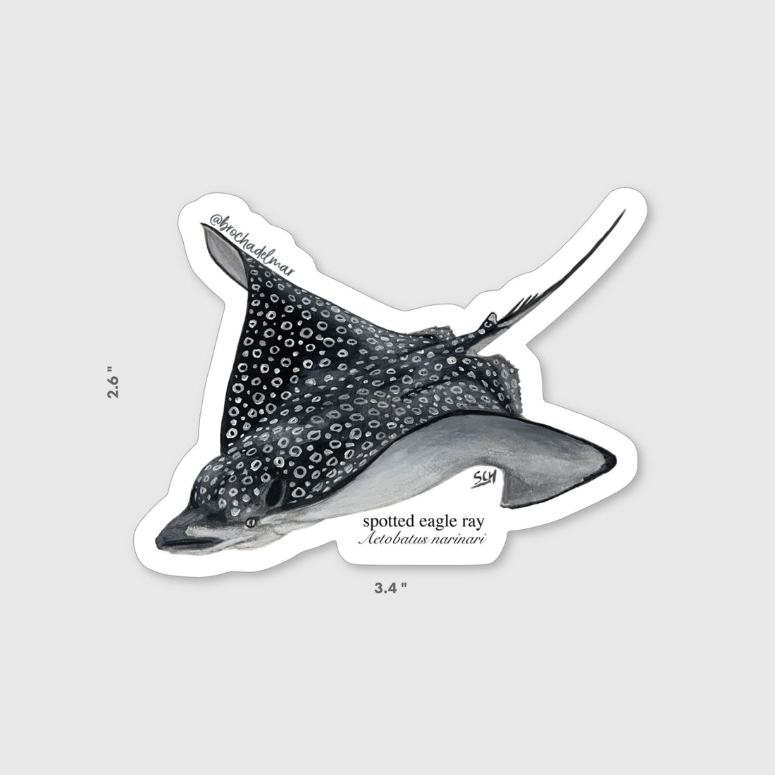 Spotted Eagle Ray Sticker