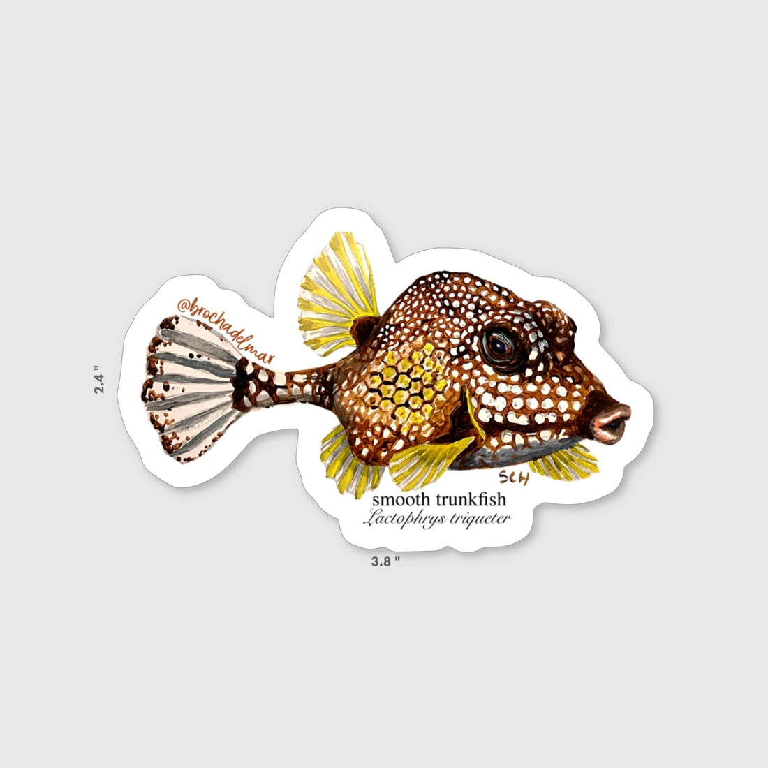 Smooth Trunkfish Sticker
