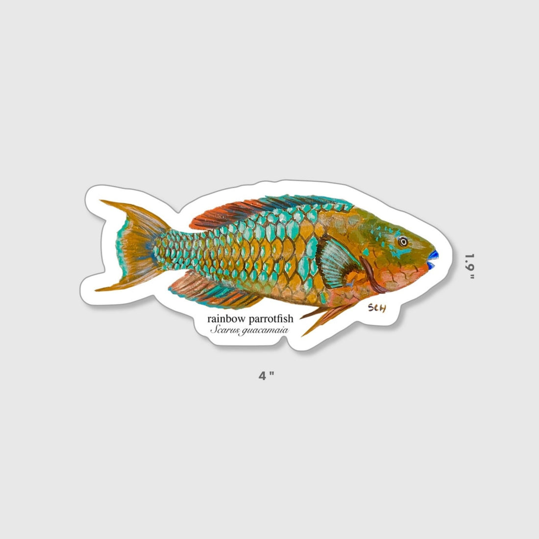 Rainbow Parrotfish Sticker