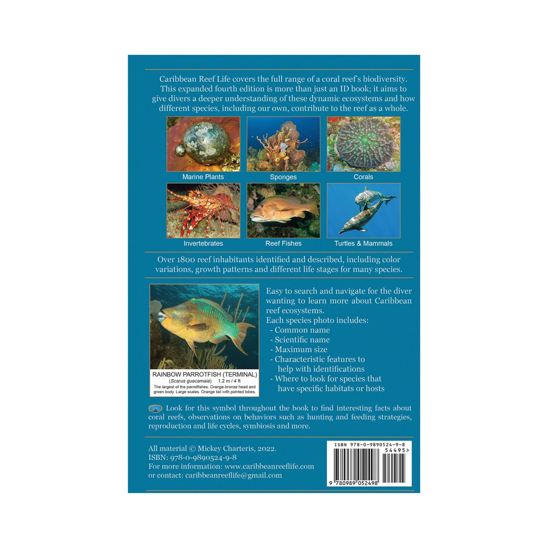 Caribbean Reef Life: A Field Guide for Divers