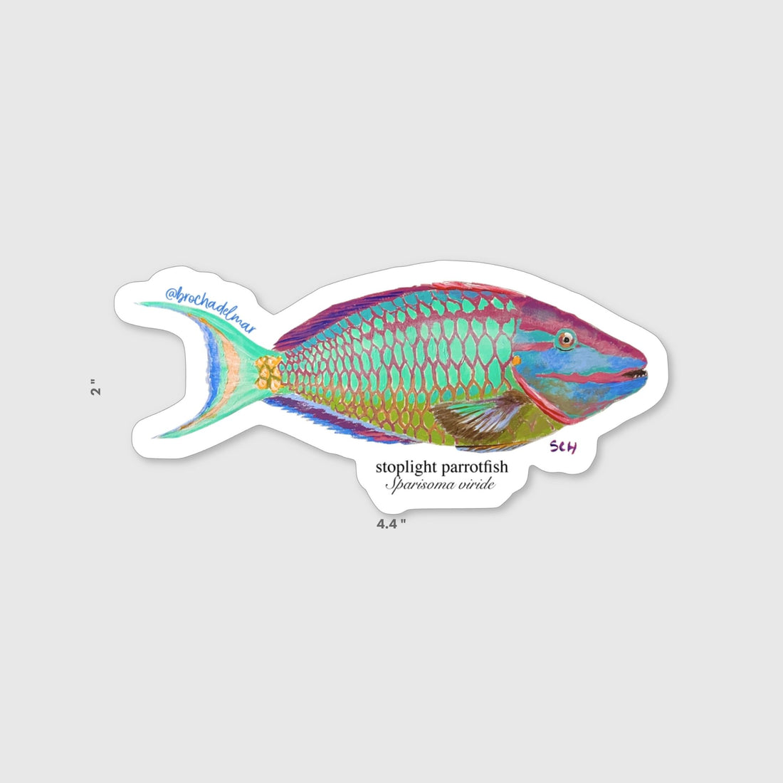 Stoplight Parrot Fish Sticker