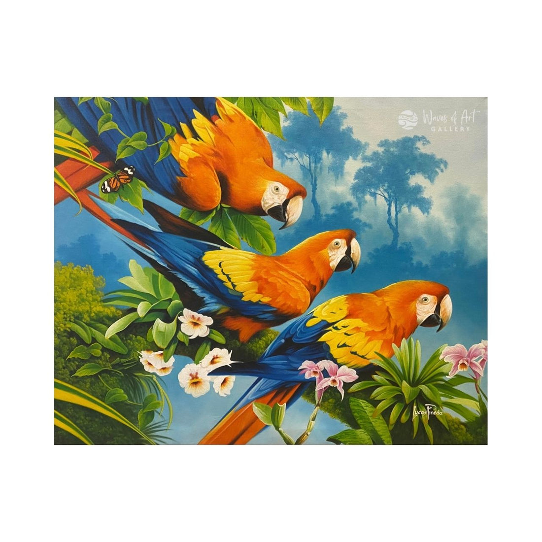 Macaws &amp; Orchids