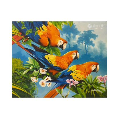 Macaws &amp; Orchids