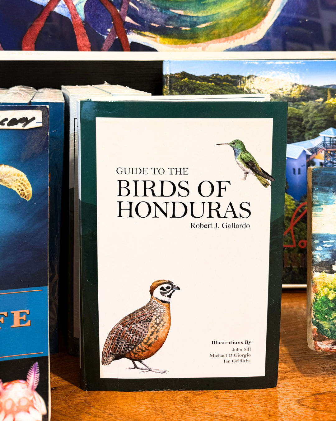 Guide to the Birds of Honduras