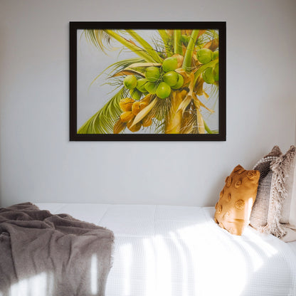 Dreaming in the Coconut Grove